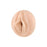 Masturberingsapparat Fleshlight 810476014667 Stoya Destroya